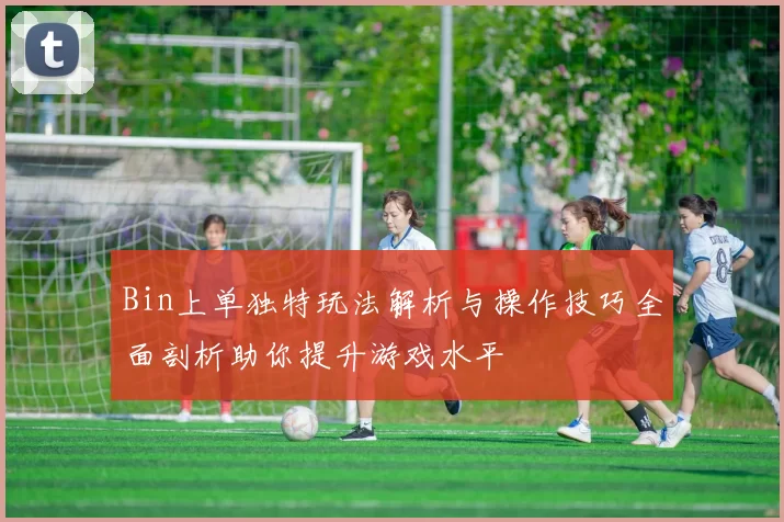 Bin上单独特玩法解析与操作技巧全面剖析助你提升游戏水平