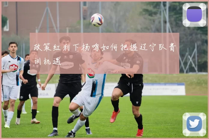 政策红利下杨鸣如何把握辽宁队青训机遇