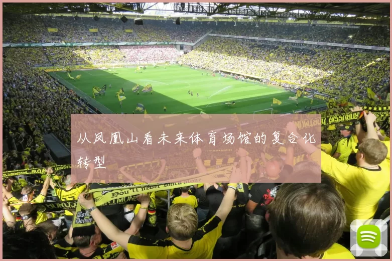 从凤凰山看未来体育场馆的复合化转型