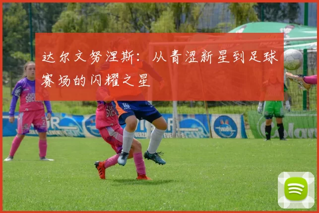 达尔文努涅斯：从青涩新星到足球赛场的闪耀之星