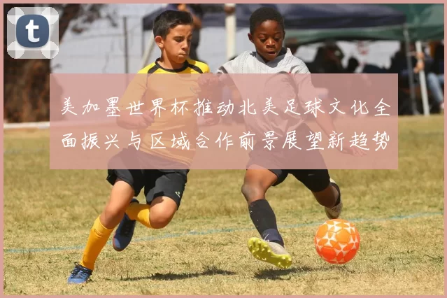 美加墨世界杯推动北美足球文化全面振兴与区域合作前景展望新趋势